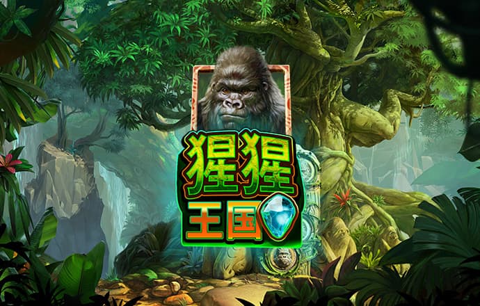 大发彩票656cc最新版本更新内容